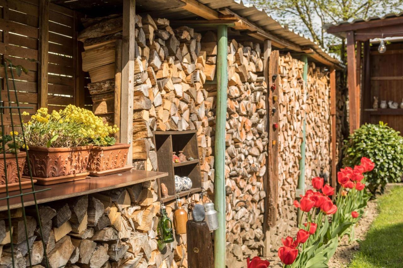 Haus Schneider Lägenhet Kressbronn am Bodensee Exteriör bild